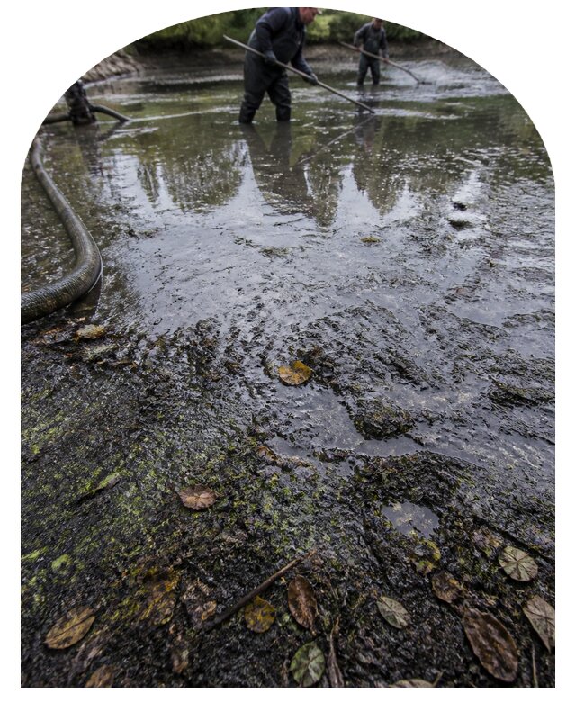 Очистка пруда в Старом Осколе от ила мусора и водорослей с вывозом